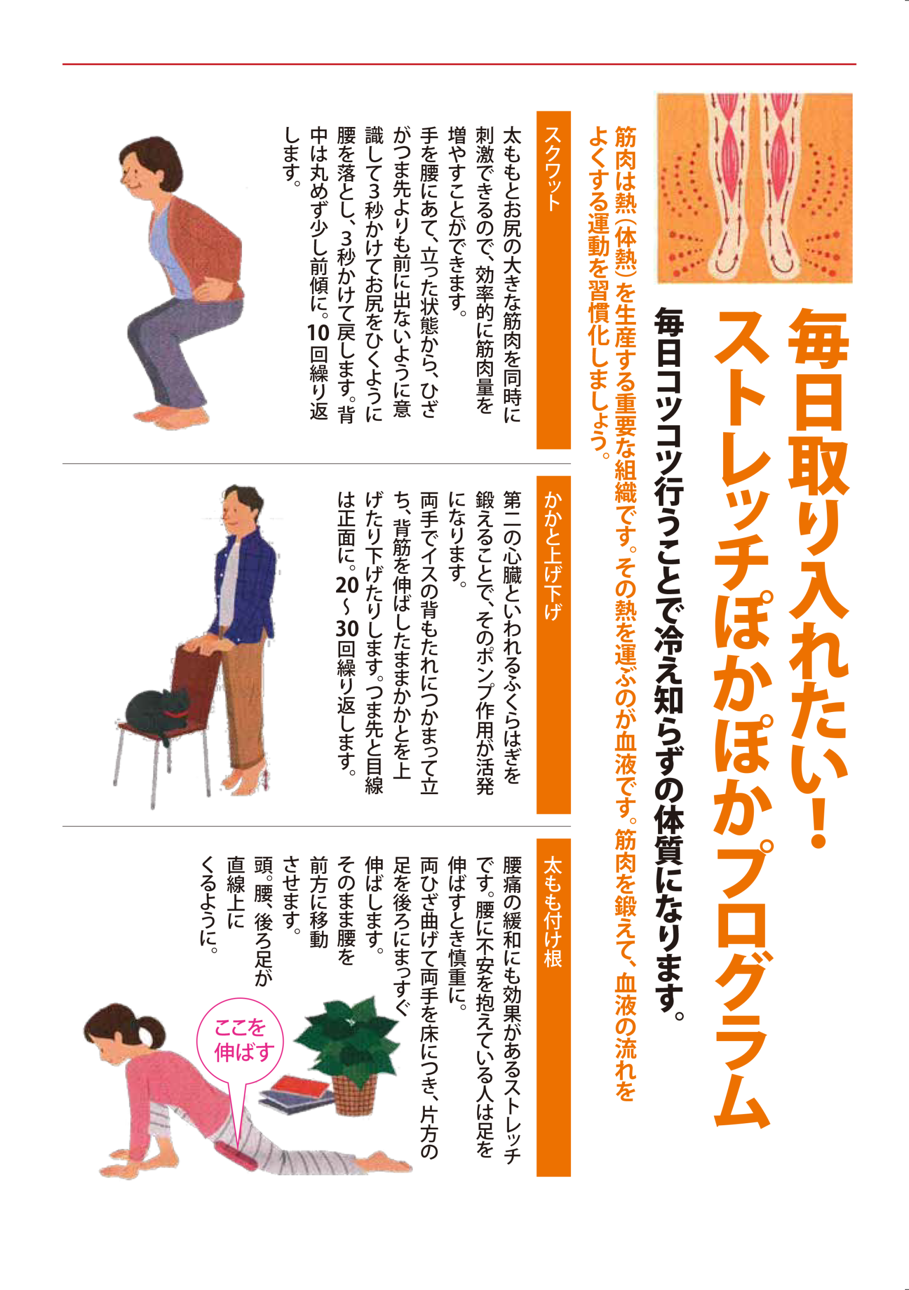 毎日取り入れたい！ストレッチぽかぽかプログラム - 1