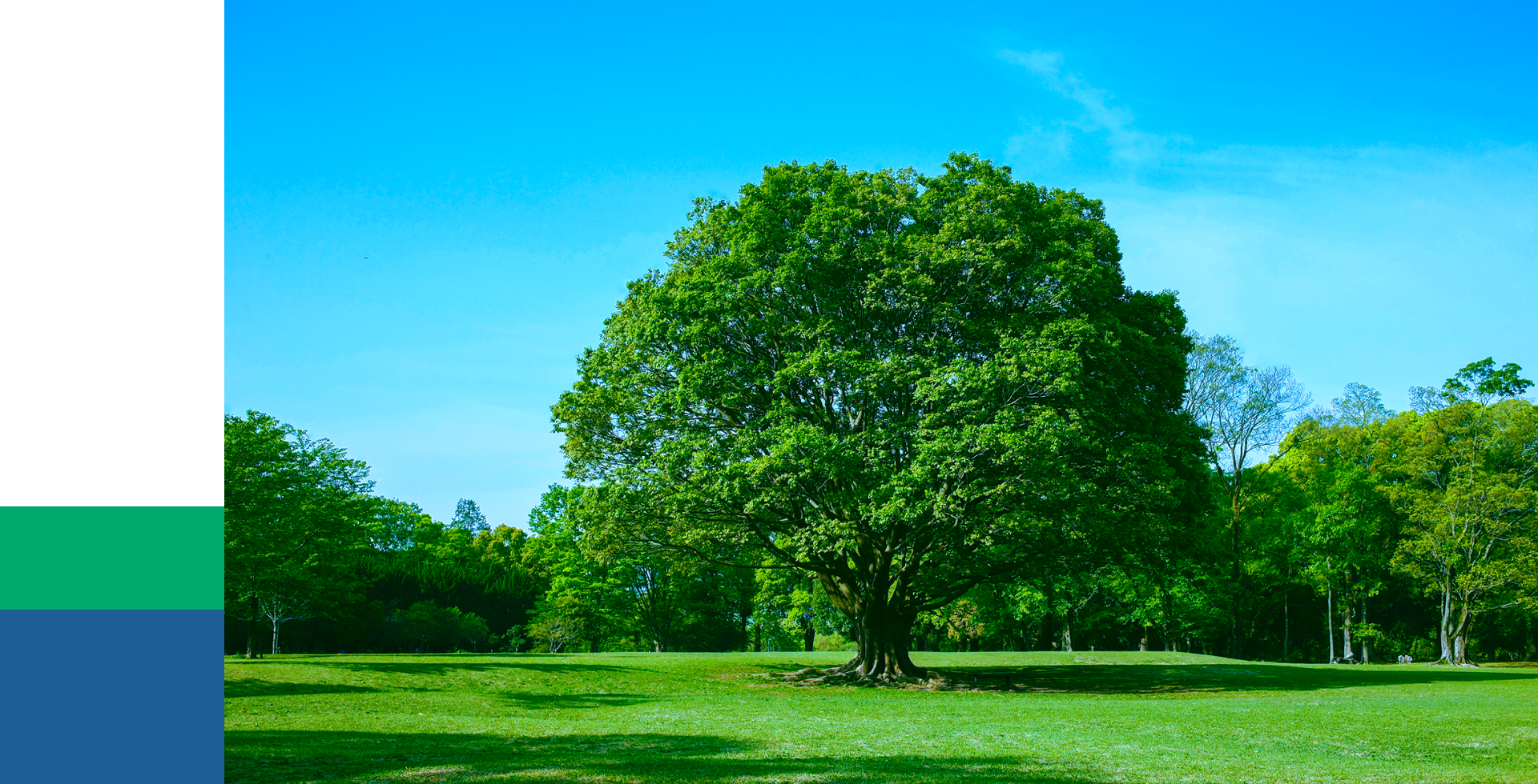 エネルギーを通し環境を考える - 株式会社エネオール